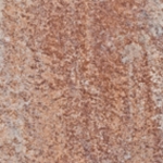 Friedl Pliazza Grado I x 16,0 x 5,0cm (Big Bag = 10,50m2) / m2 terracotta-schattiert