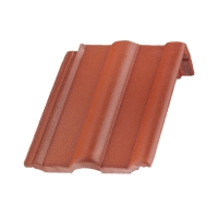 Pultstein CL rubinrot Protector PLUS NOVO (30 Stk/Pal)