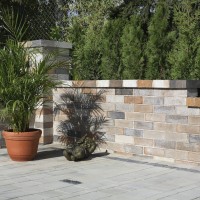 WB - Tegula Mauer natur - 24,2 x 18 x 7,5 cm  - Universalstein  - Grauschattiert / Stk