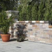 WB - Tegula Mauer natur - 24,2 x 18 x 7,5 cm  - Universalstein  - Muschelkalk / Stk