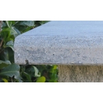 Friedl Waseernase schneiden / lfm