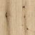 Coast Evoke Oak K365 FN 2800x1230x4mm